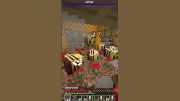 Griefing Huge Underground Base Withers part 3 #minecraftanarchy #basehunting #uneasyvanilla