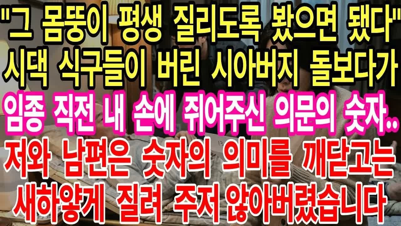 시댁 식구들이 버린 시부 돌보다가, 임종 직전 내 손에 쥐어준 의문의 숫자  저와 남편은 숫자의 의미를 깨닫자 주저 않아버렸습니다