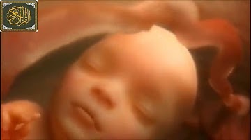 ما تيسر من سورة الانفطار للشيخ عبد الباسط عبد الصمد رحمه الله ❤ (تلاوة مريحه)