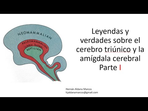 Cerebro de triuno o triúnico mito o realidad. Hernán Aldana Marcos