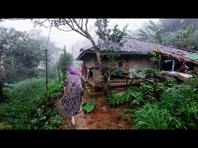 Hujan Rintik Membuat Licin Jalan, Suasana Desa Tengah Bukit Jauh Dari Keramaian class=