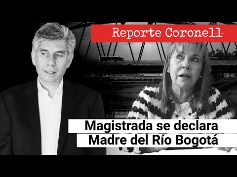 Magistrada que se declara madre del río Bogotá, denunciada por MinAmbiente designada