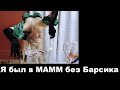 был в МАММ без Барсика