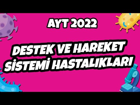 Destek ve Hareket Sistemi Hastalıkları | AYT Biyoloji 2022 #hedefekoş