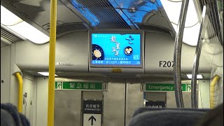 【告別】MTR 東鐵綫近畿川崎列車 IKK-SP1900 Train (D205/D207) 旺角東一台至九龍塘站行車片段