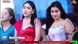 SATU HATI SAMPAI MATI ALL ARTIS NEW PALLAPA LIVE WOTAN SUKOLILO PATI 2023 (KENDANG KY PATIH)