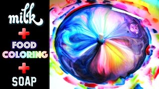 World's Biggest Milk Food Coloring And Dish Soap Experiment!!