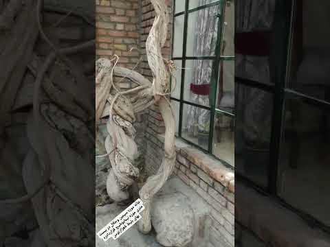 خانه موزه سیمین وجلال    