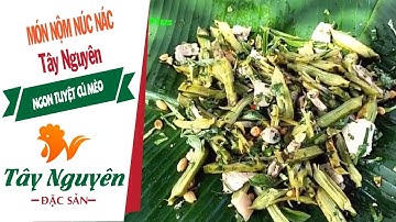 Món Ăn Hòa Quyện Gia Vị: Nôm Núc Nác ở Tây Nguyên/Đặc Sản Tây Nguyên/Du Lịch SayHi