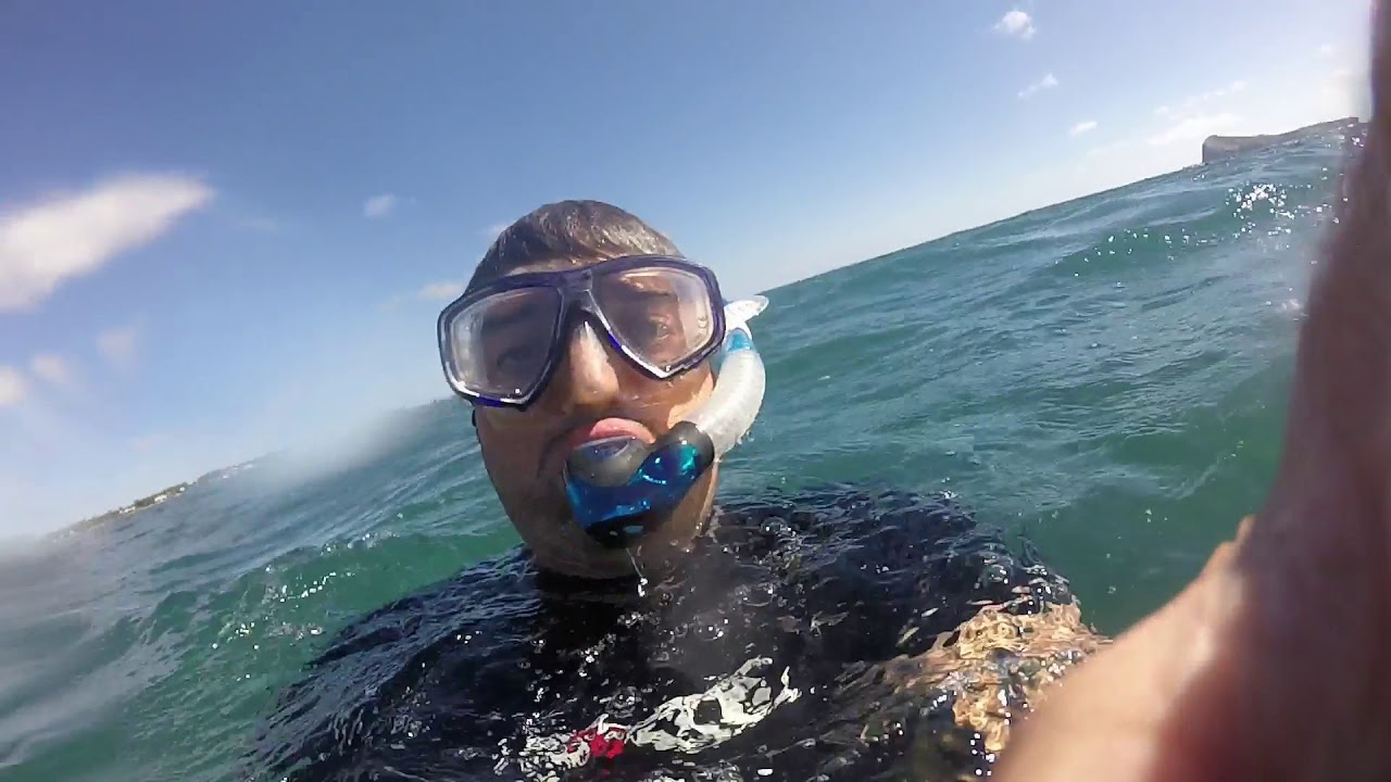 snorkelling in Mauritius YouTube