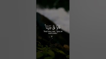 ولو ترى إذ وقفوا على ربهم #سورة_الأنعام #بصوت_محمد_أيوب #قرآن #حالات_واتس #راحة_نفسية