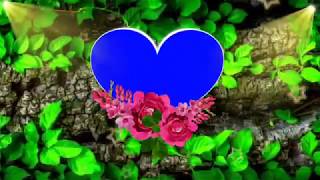 Wedding heart background effect   shaadi green screen background effect