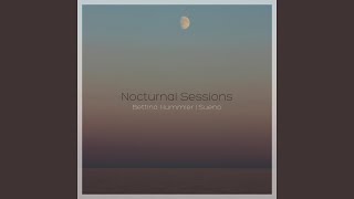 Nocturnal no. 3