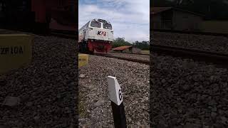 #Kereta Malabar tujuan Malang#video#shorts#
