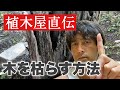 木を枯らしたい方（木を枯らす方法）作業動画で詳しく解説。
