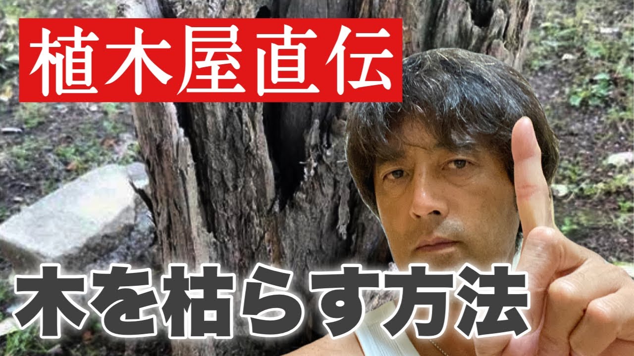 For those who want to kill a tree (how to kill a tree), a detailed