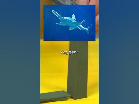 Blue Whales Go Extinct - YouTube