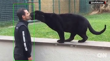 Faster R-CNN object Detection with VGG16