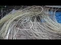 Заготовка и обработка ивового прута для плетения корзин осенью. Часть 2.