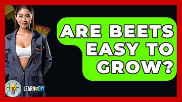 Are Beets Easy To Grow? - LearnToDIY360.com