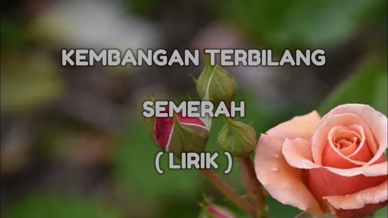 KEMBANGAN TERBILANG | SEMERAH | LIRIK - YouTube