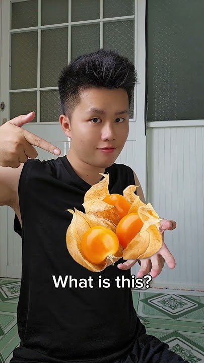 What is this? (P210) - YouTube