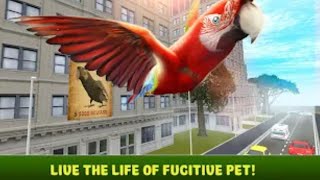 City Bird Parrot Simulator 3D (gameplay). screenshot 3