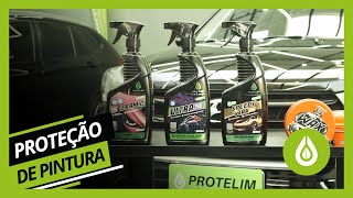 Proteção de Pintura Automotiva | Aplicação | Coat Ceramic | Ultra Pro | Speedy Wax | Prot Wax