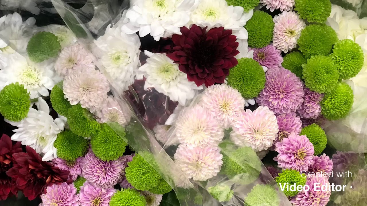 Flowers in Calgary wholesale YouTube