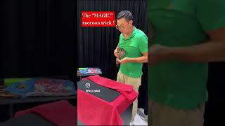The 'MAGIC' raccoon trick 😀!