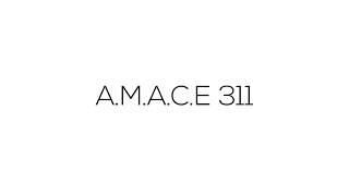 Catalyst of change | The Arch Solution | ANDC 2017 | A.M.A.C.E. 311