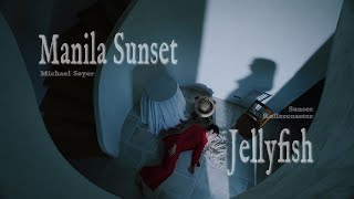 Michael Seyer  Manila Sunset / Sunset Rollercoaster  Jellyfish (Official Video), 2022