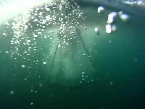 Deltaplano Subacqueo - Underwater Hang Glider- Garda BigSur - 004