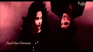 Marry me, Bella|The Twilight saga|