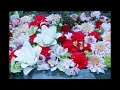 芹洋子 赤い花白い花