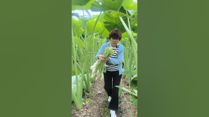 Picking Taro Flowers Do You Have A Good Recipe For It ? #satisfying #shortsvideo
