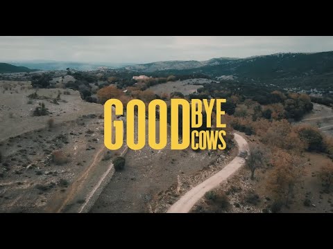 Goodbye Cows [sp]