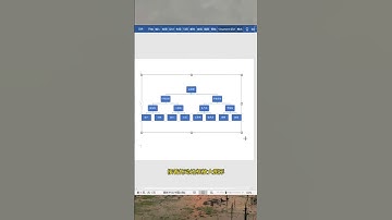制作组织架构图只需10秒#办公技巧 #每天学习一点点 #文员 #职场 #WORD #excel #办公技巧 #exceltips