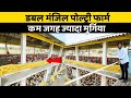 ऐसा गजब Poultry Farm कभी नहीं देखा होगा 😎😎 | Indian Farmer | #shorts