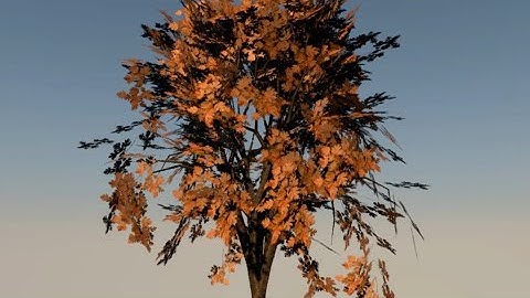 Создание дерева в Blender с помощью плагина Sampling Tree