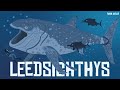 Leedsichthys | The Giant POG Fish of the Jurassic