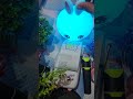 Live highlight #shorts #miniprinter #writing #ytshorts #india #veenuvdp