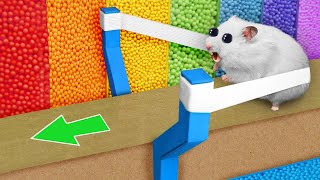 THE BEST COMPILATION OF HAMSTER MAZES | DIY Hamster Maze by YEES 20,759 views 7 months ago 19 minutes