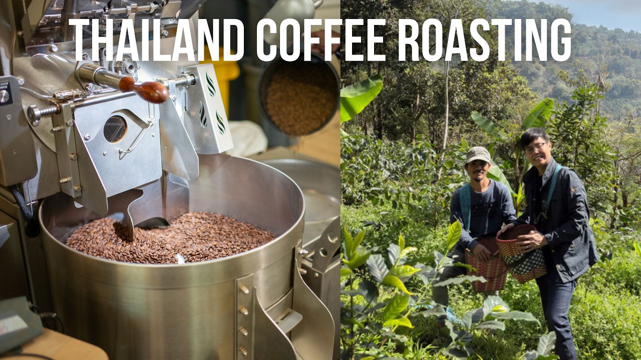 How to roast Thai Specialty Coffee! Ft. Pack