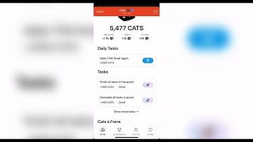 Cats airdrop sure listening | cats airdrop listening date confirm