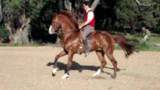 DSCF1020.avi