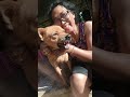 #enjoyit #kaihuaror #automobile #funnyclip #funny #hospital #memes #cartoon #animals #streetdog