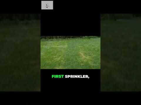 Never Lay Sprinklers Like THIS Shorts Shortsvideo