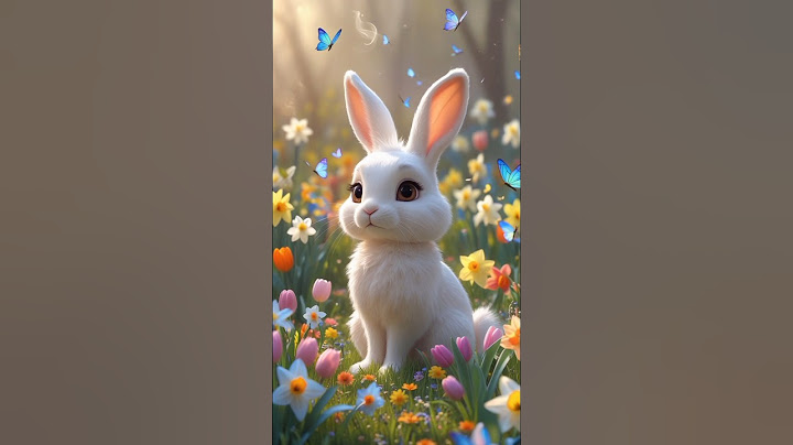Bella the Kind Rabbit and the Magic Feather.