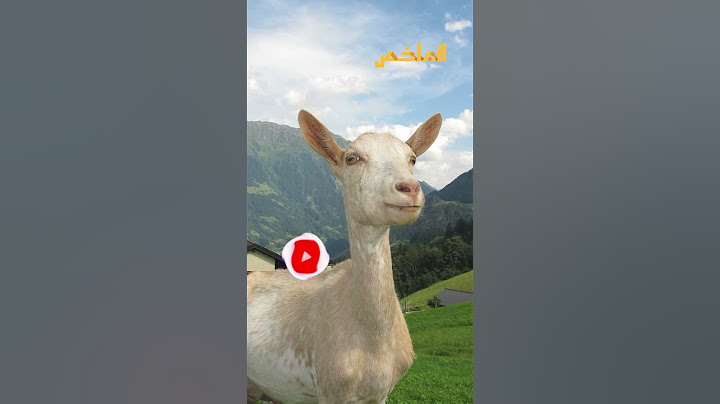 مكتشفها ليس إنسانا.. سر غريب لمحبي القهوة